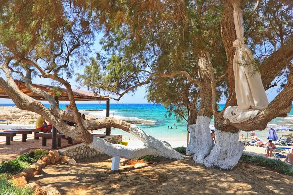 Beachfront Luxury Villa Idania Ayia Napa Eksteriør billede